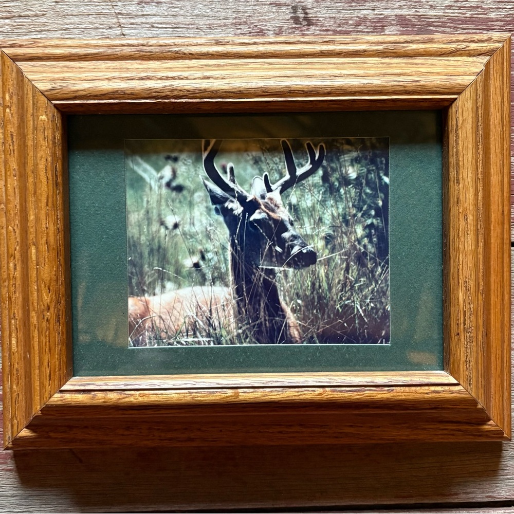 Rustic Oak Framed Deer Print